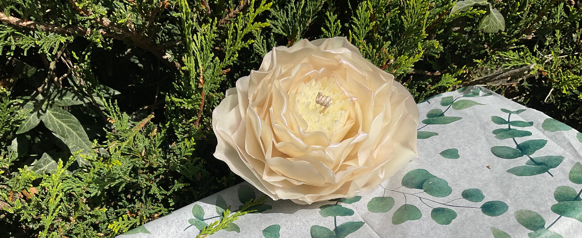 Iridescent Ivory Peony
