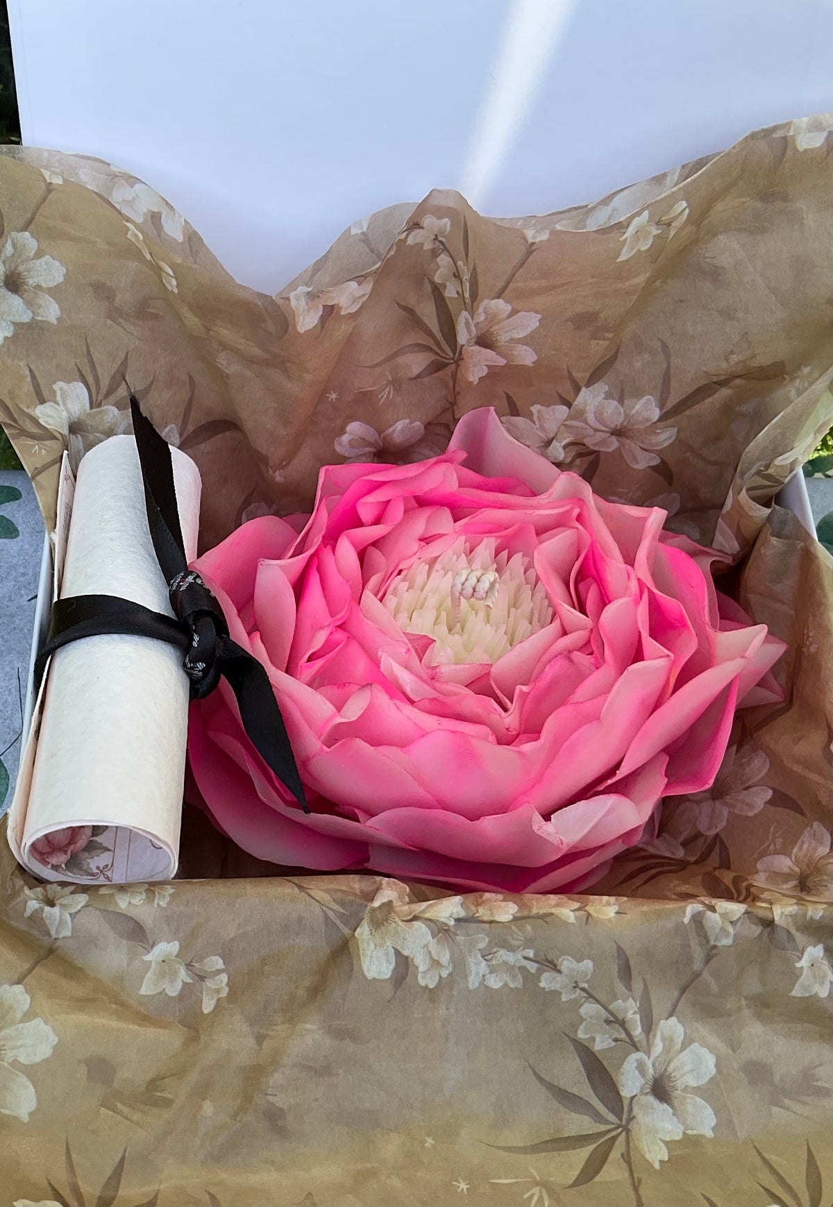 Neon Pink Peony