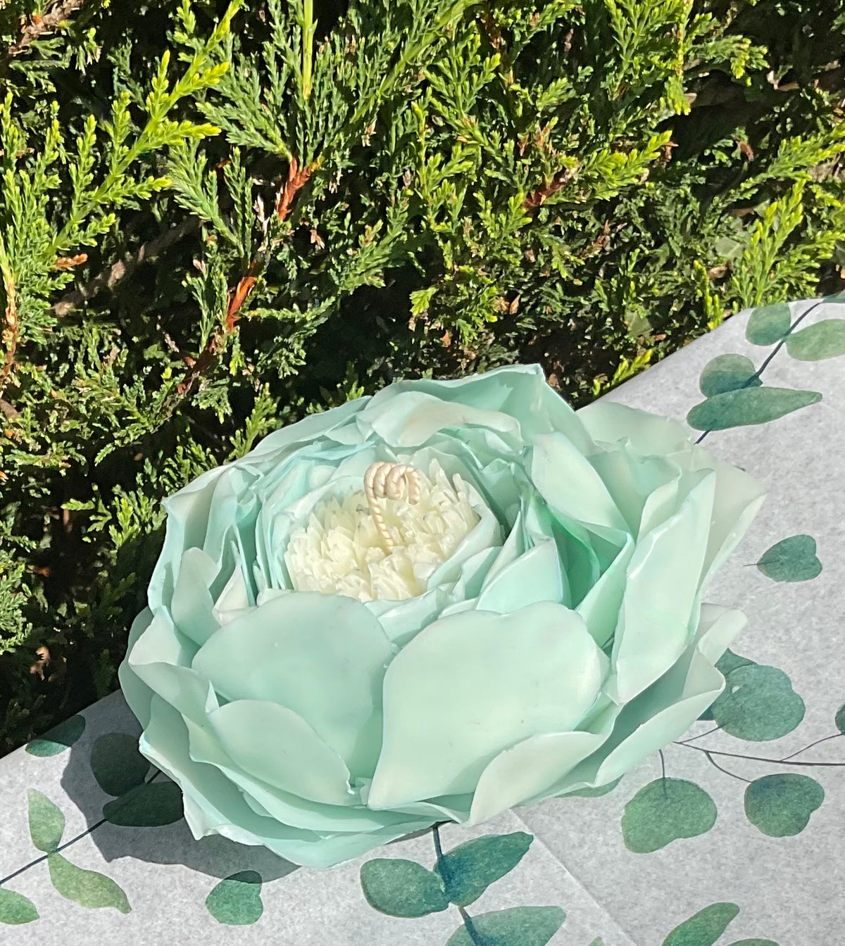 Baby Blue Peony