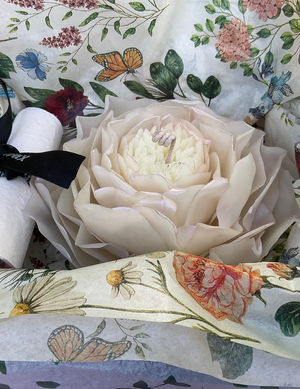 Iridescent Ivory Peony