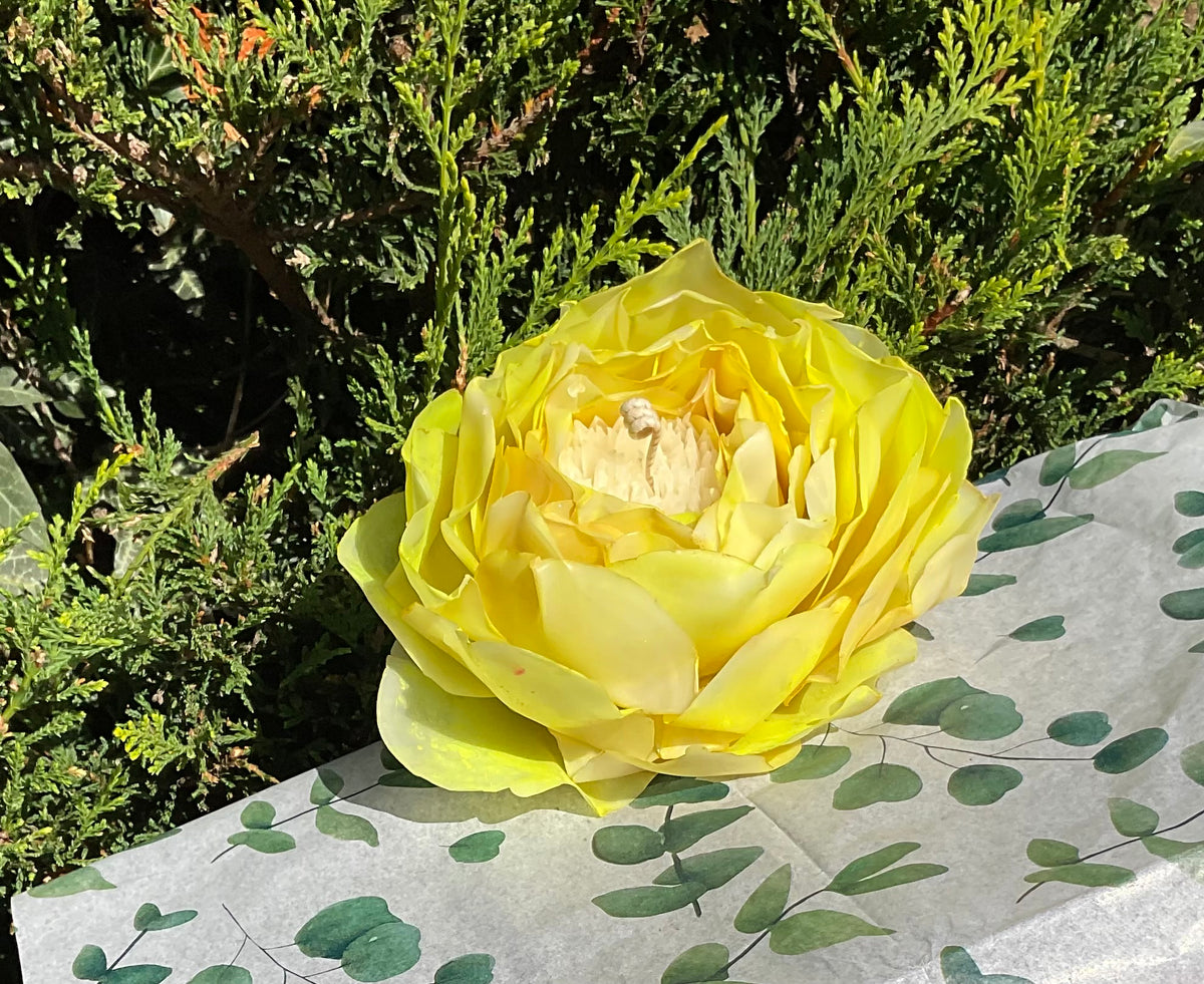 Neon Yellow Peony