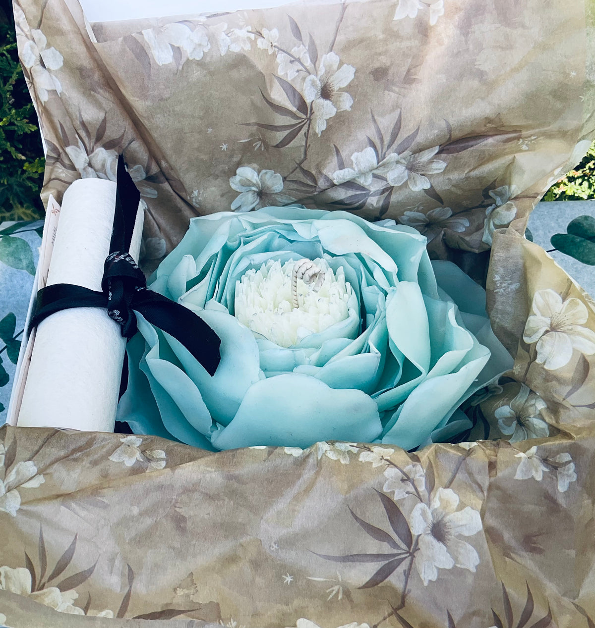 Baby Blue Peony