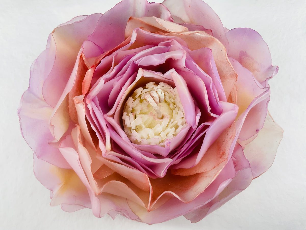 Soft Pink & Soft Yellow Peony