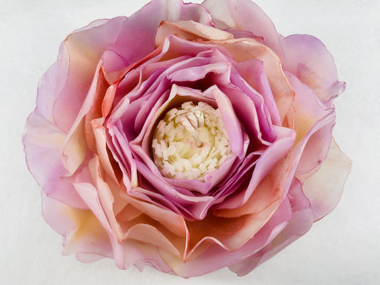 Soft Pink & Soft Yellow Peony