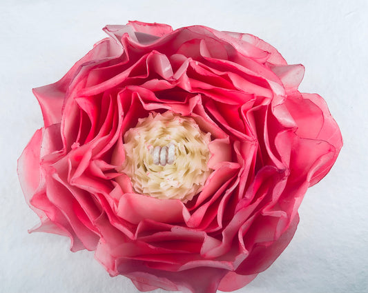 Bright Coral Peony