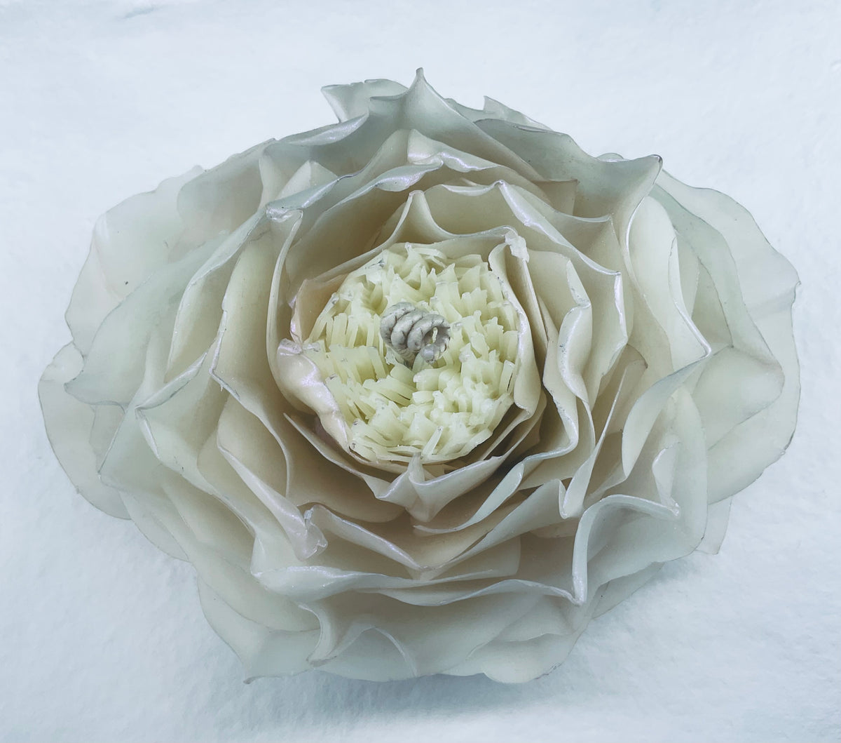 Iridescent Ivory Peony