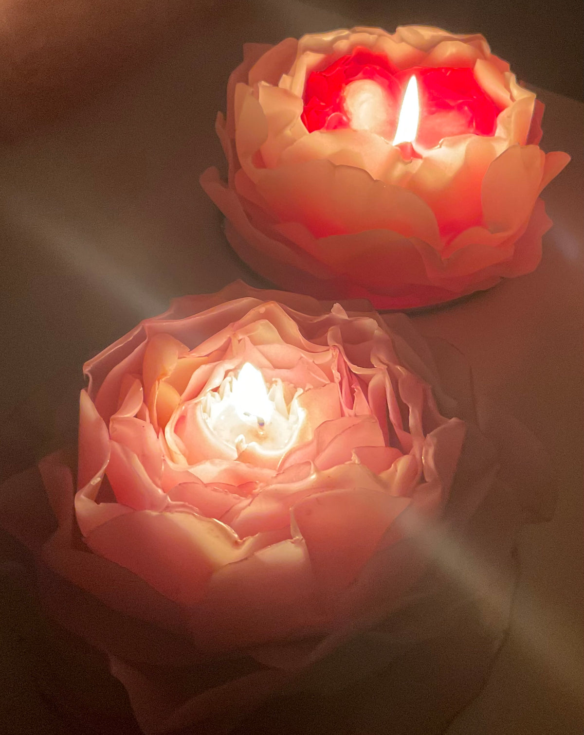Soft Pink & Soft Yellow Peony