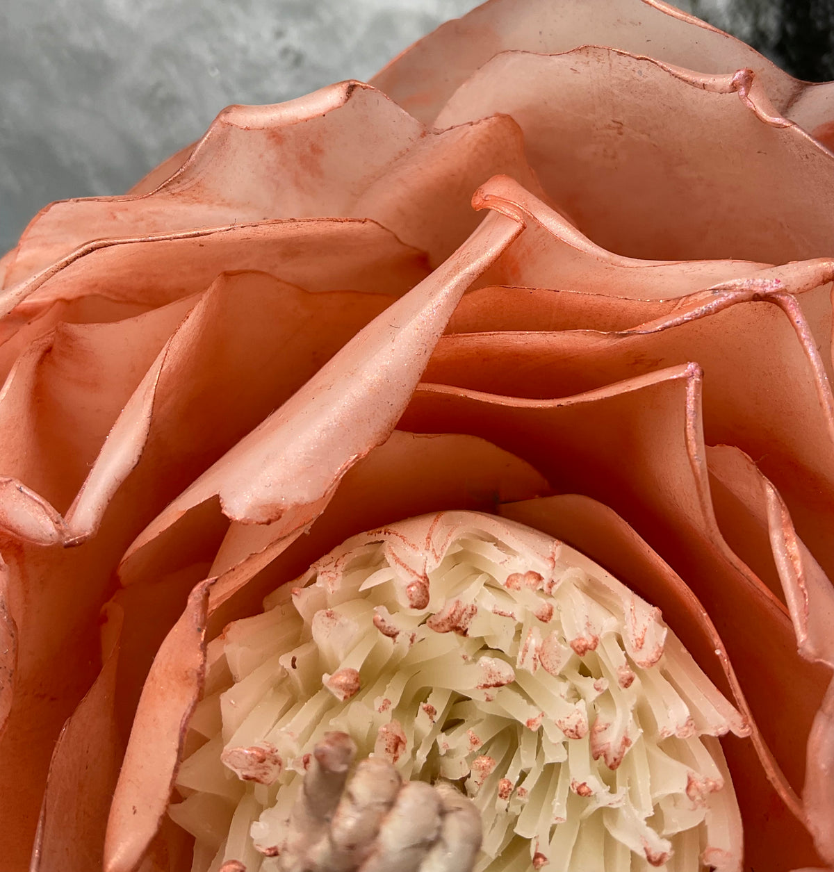 Rose Bronze Peony