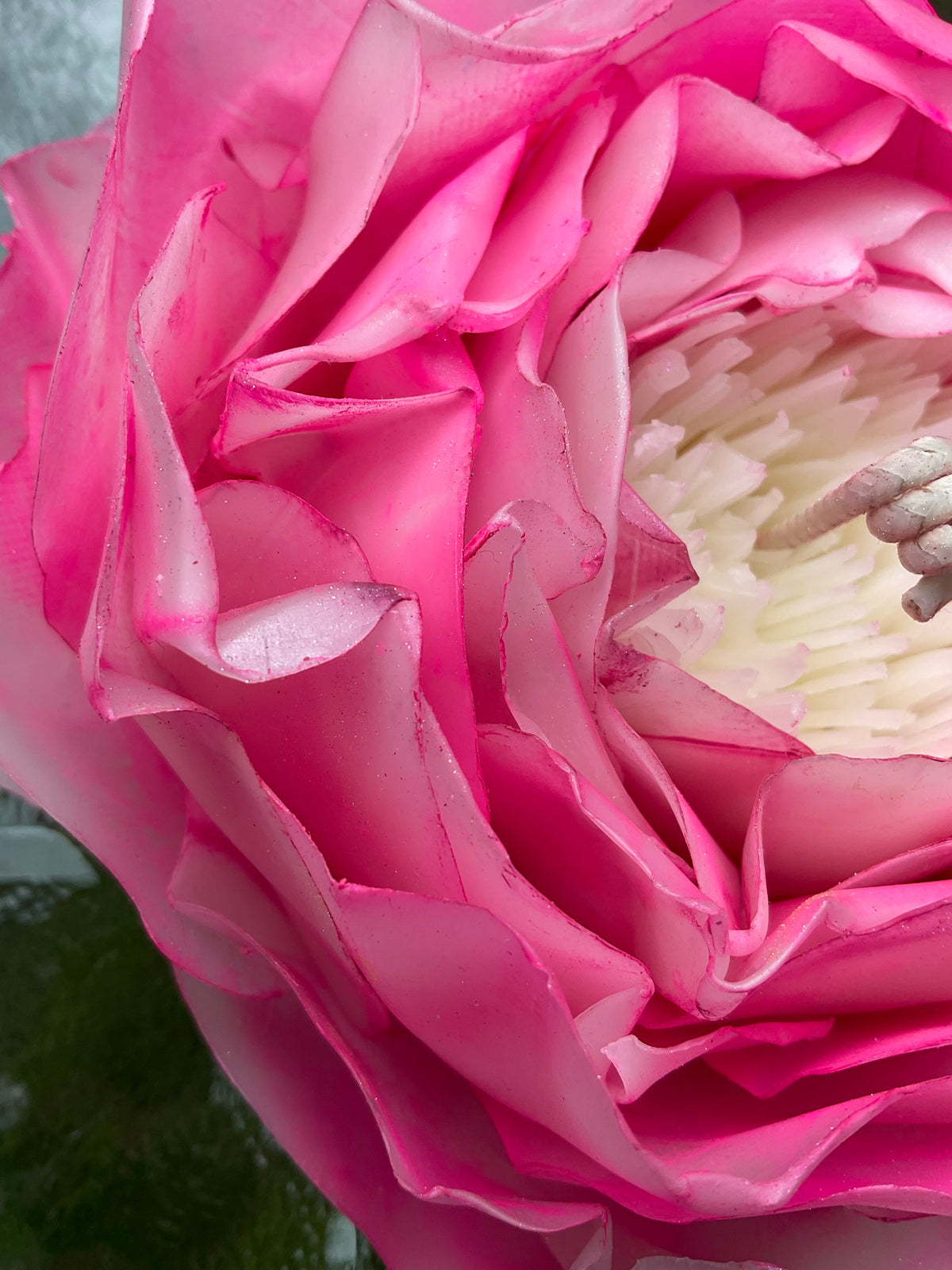 Neon Pink Peony